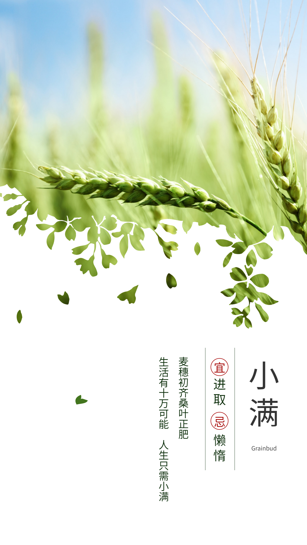 節(jié)日